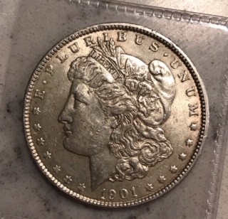 1901-P-Morgan-Silver-Dollar-Grade-Opinions